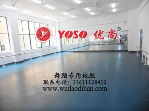 專(zhuān)業(yè)舞蹈塑膠地板 保護(hù)、減震、排壓與批發(fā)的全方位解析